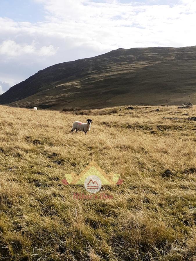הוילה Hiker'S Den, Brigham, Cockermouth, Cumbria מראה חיצוני תמונה